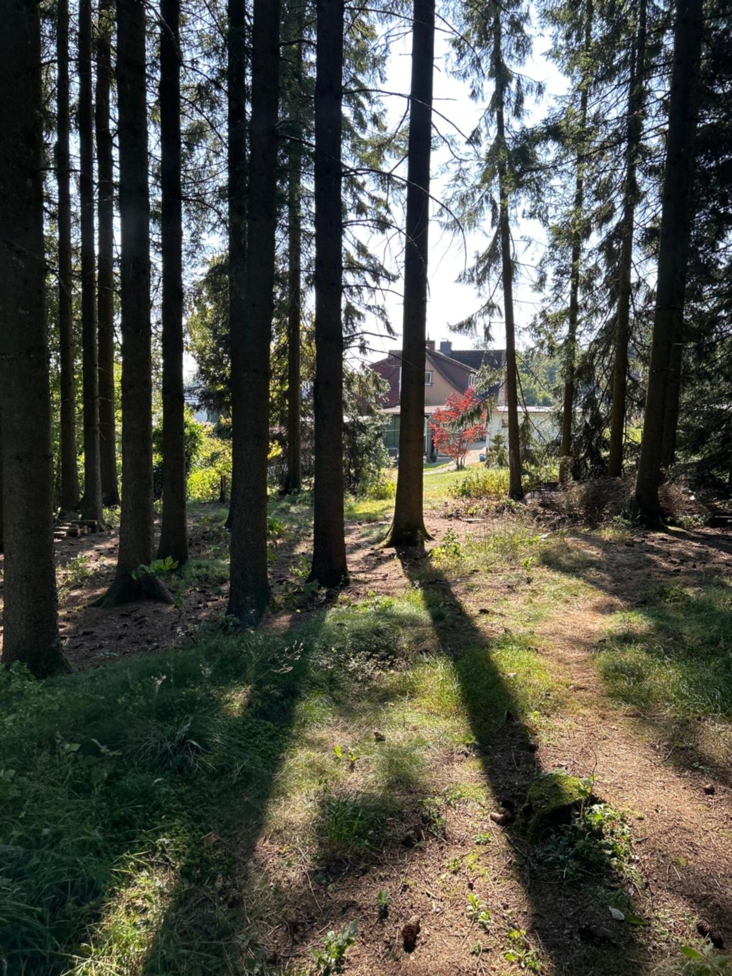 Bergwiesenblick38678 كلاوستال - زيلرفيلد المظهر الخارجي الصورة
