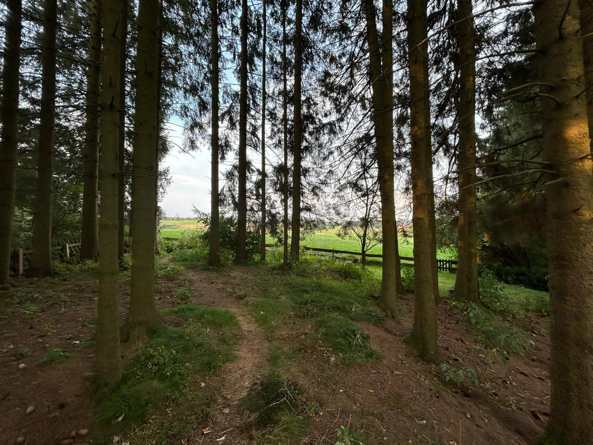 Bergwiesenblick38678 كلاوستال - زيلرفيلد المظهر الخارجي الصورة